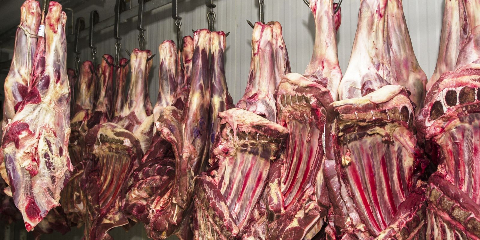 policia-do-rio-faz-operacao-contra-grupo-que-vendia-carne-estragada