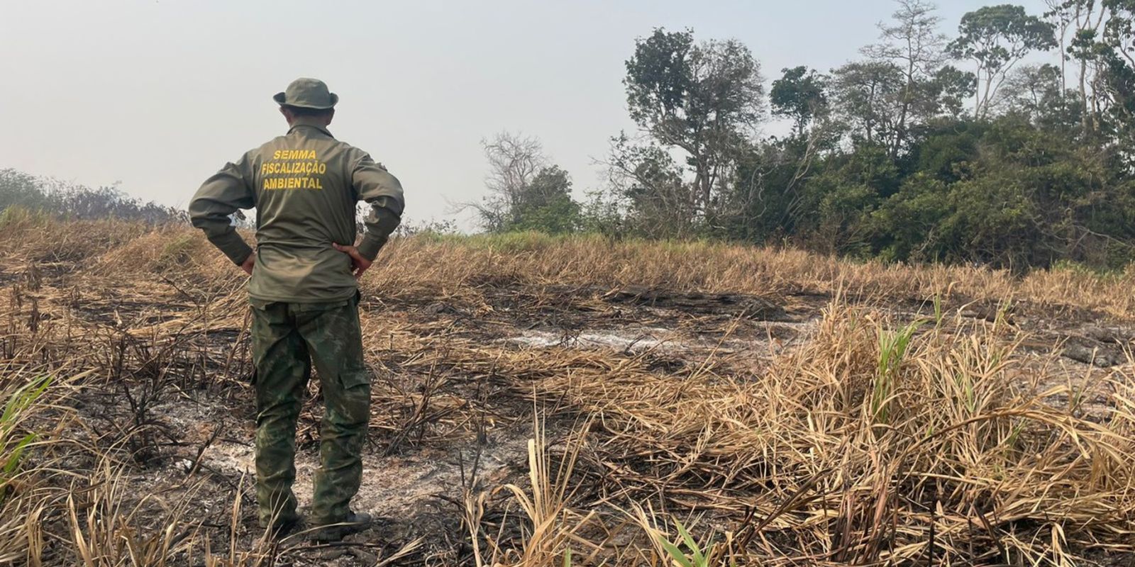 queimadas-em-2024-destroem-area-equivalente-ao-estado-dotocantins