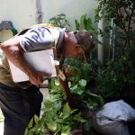 dengue:-maior-preocupacao-do-governo-e-com-a-regiao-sudeste