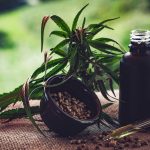sao-paulo-veta-pl-que-amplia-acesso-a-itens-de-cannabis-medicinal