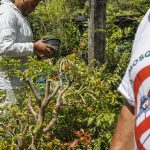 dengue-em-sp:-total-de-casos-nao-surpreende,-mas-obitos-sim,-diz-saude