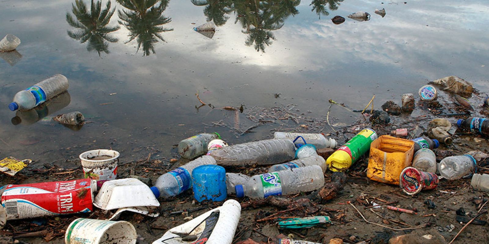 viva-maria-aborda-campanha-para-combater-poluicao-marinha-por-plastico