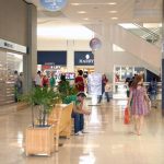 mercado-de-franquias-cresce-13,5%-e-fatura-r$-273-bilhoes-em-2024