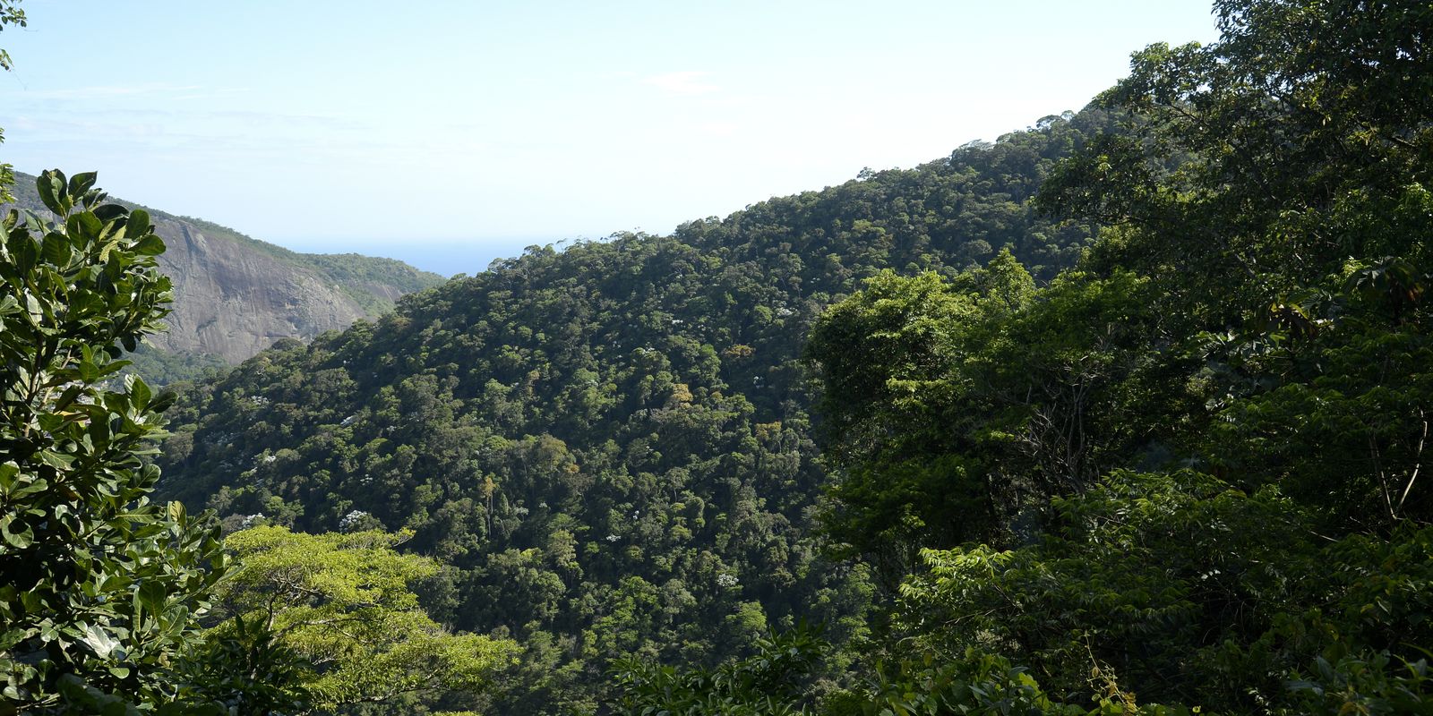 cidades-com-areas-verdes-podem-oferecer-mais-qualidade-de-vida