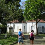 programacao-no-mast-lembra-os-100-anos-de-visita-de-eisntein-ao-brasil