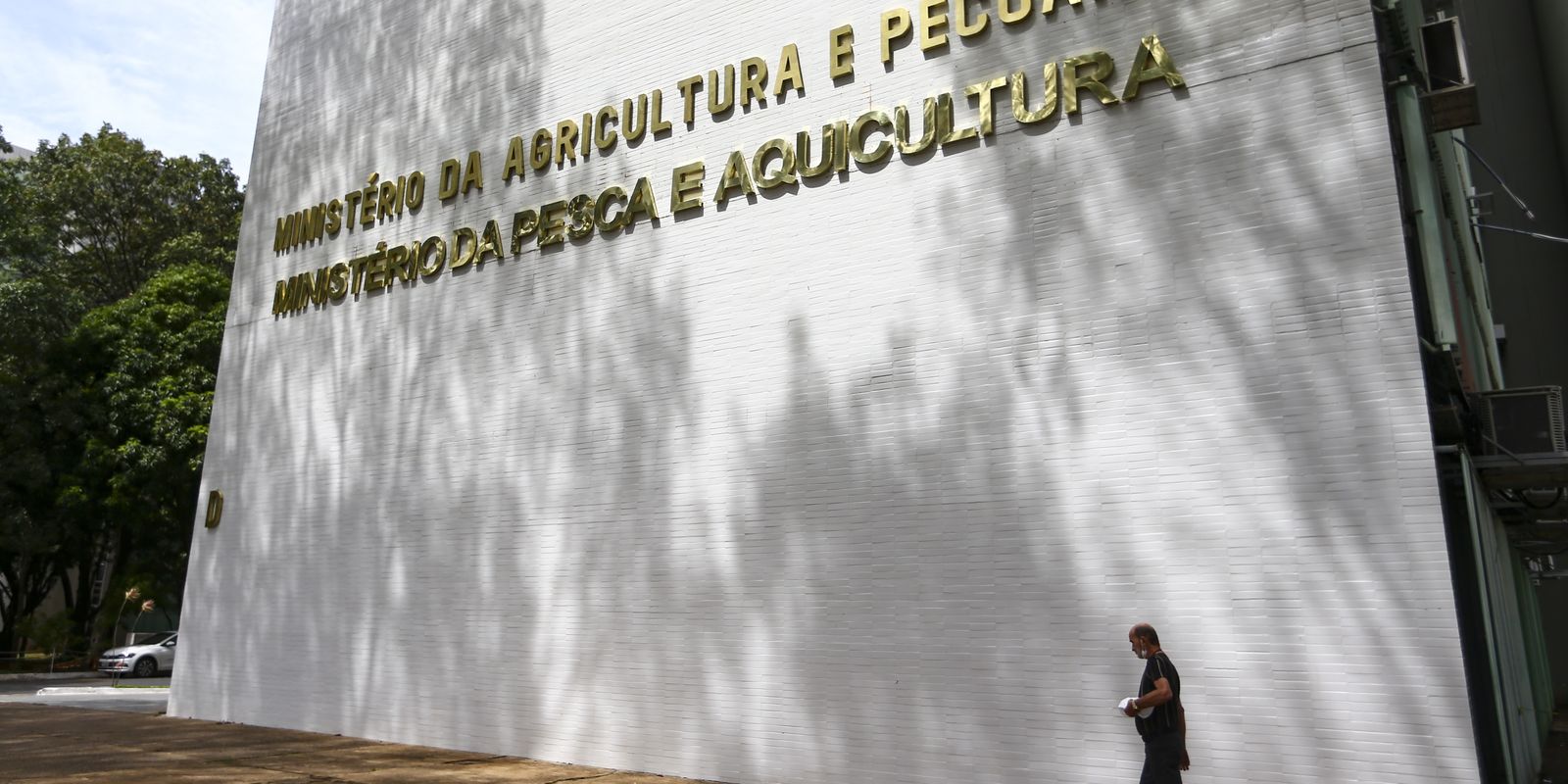 sete-casos-de-doencas-respiratorias-em-aves-sao-investigados-no-pais
