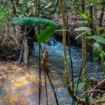 inscricoes-para-bolsa-de-estudos-na-area-de-agroecologia-vao-ate-sexta