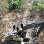 mineracao-ilegal-e-trafico-de-animais-serao-crimes-de-maior-gravidade
