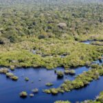 projeto-documenta-os-ritmos-musicais-da-amazonia
