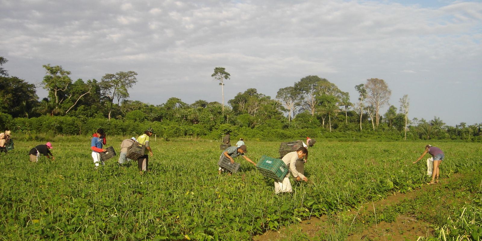 produtores-afetados-por-estiagem-no-rs-podem-renegociar-credito-rural