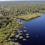 viva-maria-destaca-experiencia-em-360-graus-no-coracao-da-amazonia
