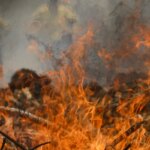 tocantins-registra-mais-de-mil-focos-de-queimadas-em-maio