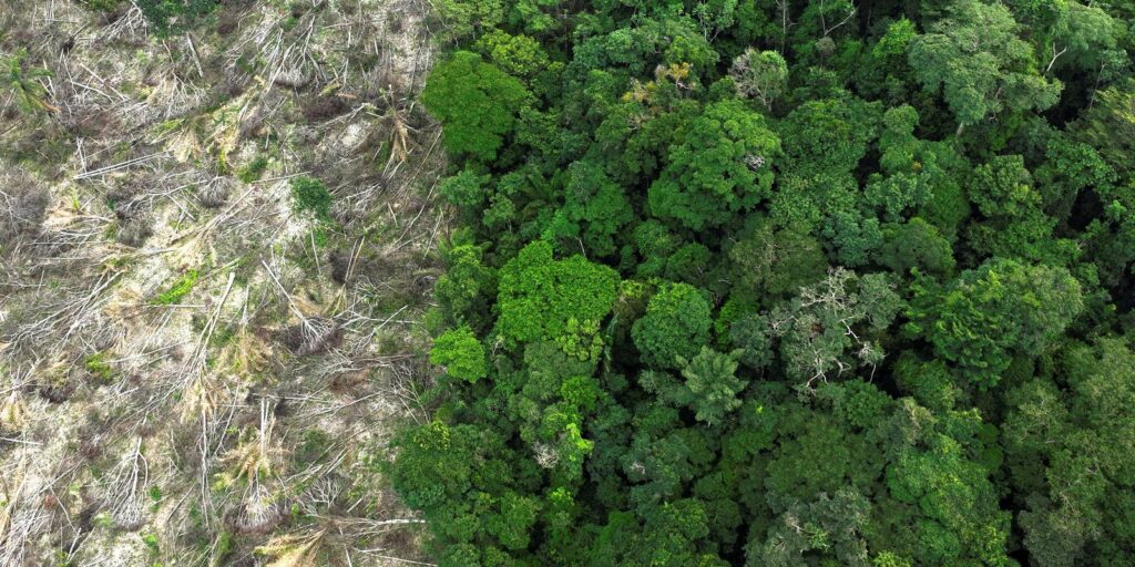 brasil-conta-com-novo-centro-de-pesquisas-para-recuperacao-da-amazonia