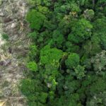 brasil-conta-com-novo-centro-de-pesquisas-para-recuperacao-da-amazonia