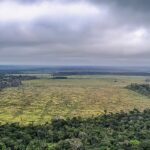 florestas-publicas-nao-destinadas-correm-risco-de-grilagem