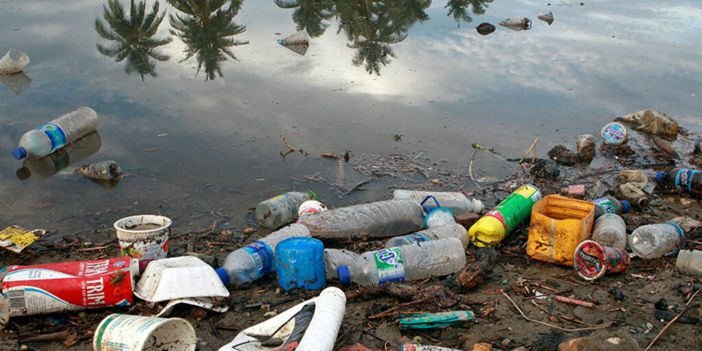 viva-maria:-rede-oceano-limpo-luta-contra-a-poluicao-plastica