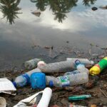 viva-maria:-rede-oceano-limpo-luta-contra-a-poluicao-plastica