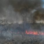 detran-tocantins-orienta-motoristas-sobre-incendios-perto-de-estradas