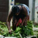 documentario-“jornada-das-folhas”-estreia-em-salvador 