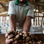 amazon-week-2025-debate-bioeconomia-amazonica