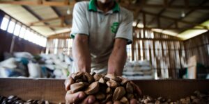 amazon-week-2025-debate-bioeconomia-amazonica