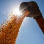 brasil-podera-ter-novo-recorde-na-producao-de-graos-na-safra-2024/2025