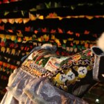 programacao-revela-o-mosaico-cultural-dos-festejos-juninos-no-brasil