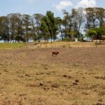 chuvas,-estiagem-e-seca-deixam-20-municipios-em-situacao-de-emergencia