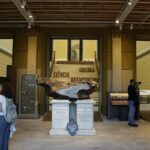 museu-nacional-do-rio-reabre-parcialmente-sete-anos-apos-incendio