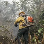 combate-a-incendios-florestais-podem-ter-recursos-do-fundo-amazonia