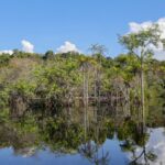 rio-negro-inicia-vazante-em-manaus,-mas-alagamentos-persistem