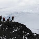 uerj-identifica-nova-especie-de-peixe-pre-historico-na-antartica