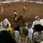 festa-do-peao-de-barretos-reune-shows-e-rodeios-ate-31-de-agosto