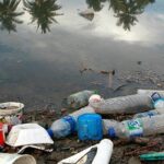 impactos-do-microplastico-sao-graves-e-afetam-o-ambiente-e-as-pessoas