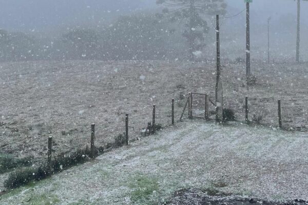 Baixas temperaturas podem causar geadas no Sul e Sudeste, diz Inmet baixas-temperaturas-podem-causar-geadas-no-sul-e-sudeste,-diz-inmet