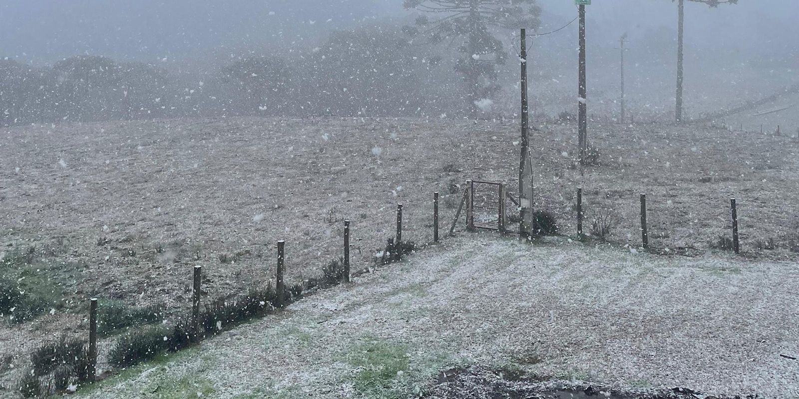 baixas-temperaturas-podem-causar-geadas-no-sul-e-sudeste,-diz-inmet