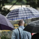 sp:-chuva,-ventos-fortes-e-queda-de-arvores-deixam-900-mil-sem-energia