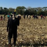 ms:-ministerio-dos-povos-indigenas-pede-mais-agentes-da-forca-nacional