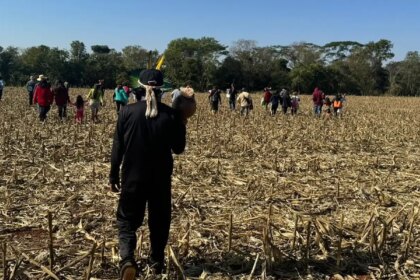 ms:-ministerio-dos-povos-indigenas-pede-mais-agentes-da-forca-nacional