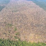 sistema-do-inpe-reforca-monitoramento-diario-do-bioma-amazonico