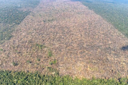 sistema-do-inpe-reforca-monitoramento-diario-do-bioma-amazonico