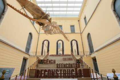 catalogo-inedito-do-museu-nacional-reune-fotografias-historicas