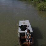 viva-maria-apresenta-trechos-da-serie-somos-amazonia