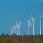 bndes-lanca-edital-para-impulsionar-desenvolvimento-sustentavel