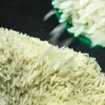 conab-anuncia-r$-300-milhoes-para-produtores-de-arroz-na-safra-2025/26