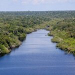 evento-em-belem-discute-transicao-ambiental-com-lideres-empresariais