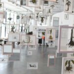 36a bienal de-sao-paulo-abre-suas-portas-neste-sabado,-no-ibirapuera