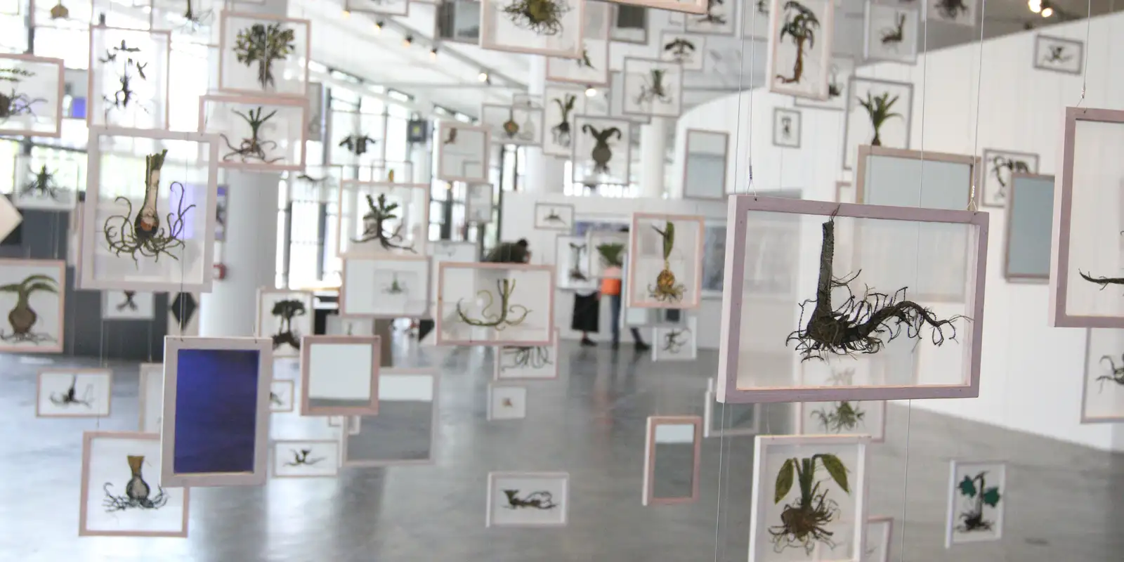 36a bienal de-sao-paulo-abre-suas-portas-neste-sabado,-no-ibirapuera