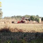 defesa-de-fazendeiros-em-goias-contesta-decisao-sobre-quilombolas