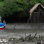 cop-30-coloca-amazonia-e-sustentabilidade-no-centro-do-debate